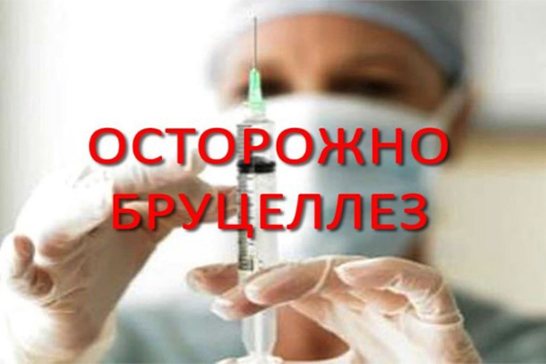 В регионе напомнили о риске заражения бруцеллёзом